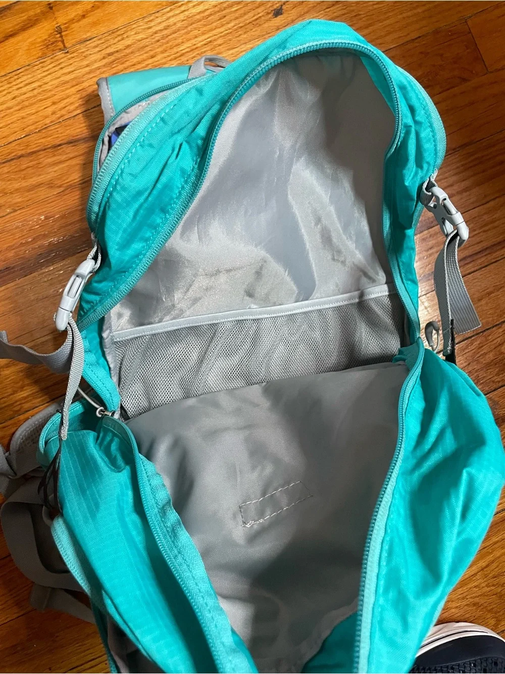 Ascend curve women’s